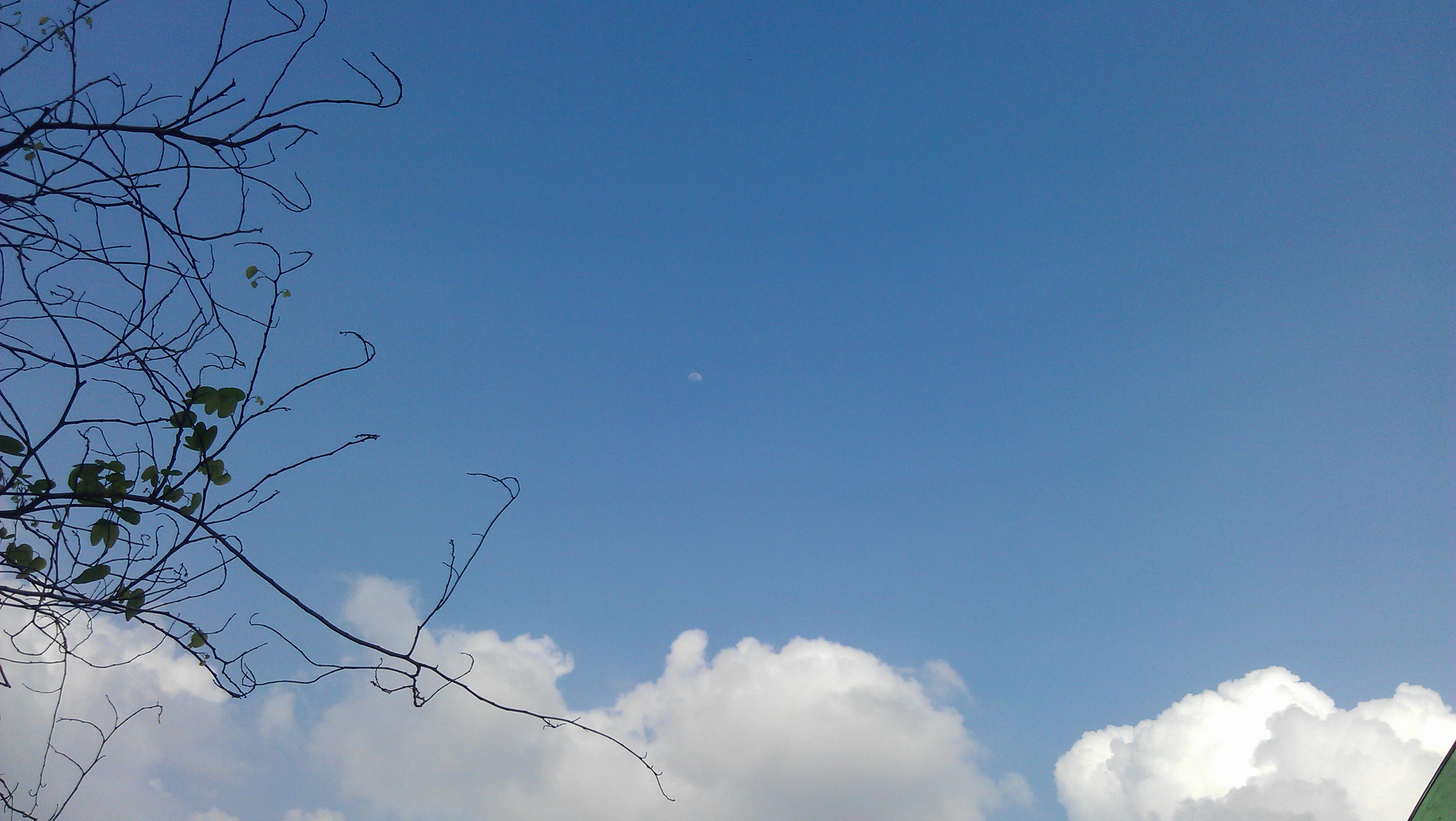 很蓝很蓝的天，很白很白的云